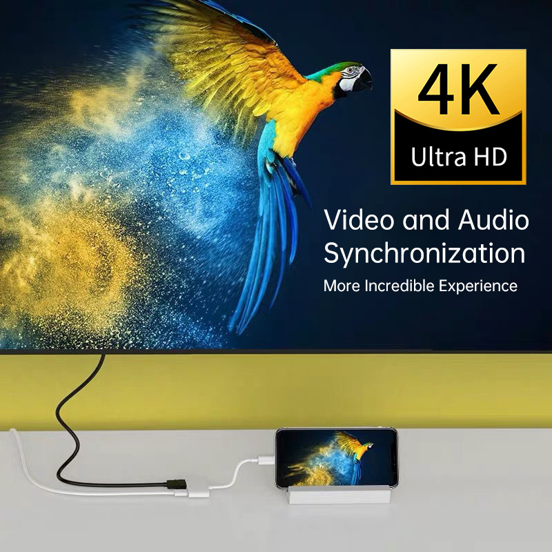 Adaptateur convertisseur 4K 20 - Hdmi Phone Adapter avis et prix
